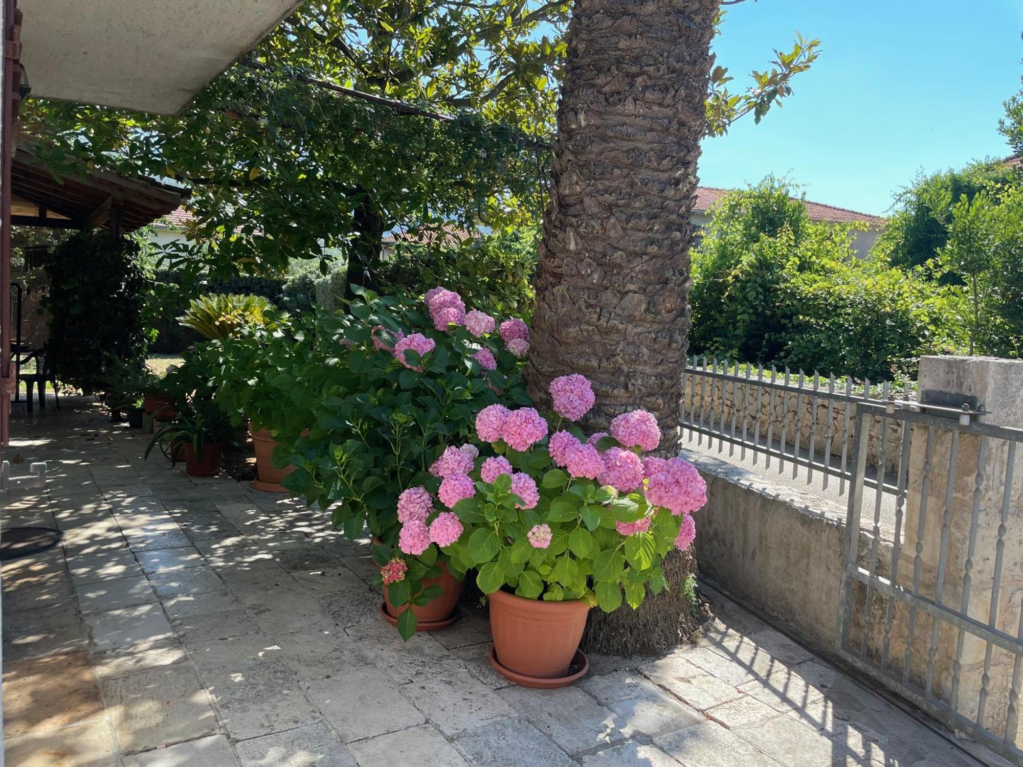 Hvar Guesthouse - Double Bedroom With Private Bathroom Jelsa  Esterno foto